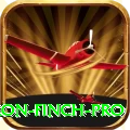 aaron finch Pro New
