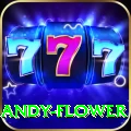 andy flower Ultimate v4.5.3
