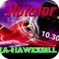 antigua hawksbill Master v5.7.3