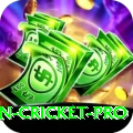 australian cricket Pro PK v2.3.0
