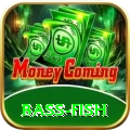 bass fish Deluxe v4.5.1