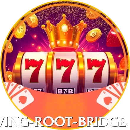 cherapunji living root bridge Turbo Pro v4.9.4 - 2