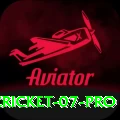 cricket 07 Pakistan Ultimate v5.5.8
