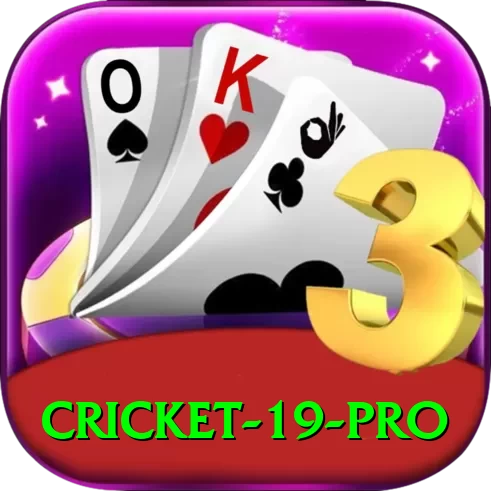 cricket 19 PK Pro - 2
