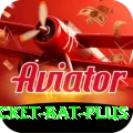cricket bat Bonus Max v5.3.3