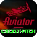 cricket pitch Gold v1.0.0