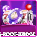 dawki living root bridge Pro