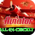 fastest ball in cricket Deluxe v1.5.2