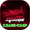 grass carp Apps (Tools & Injectors) VIP v1.9.7
