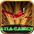 hile ilam tea garden Plus v2.0.6