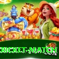 india cricket match Max v4.8.0