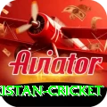 india pakistan cricket Elite Pro v5.9.7