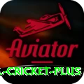 international cricket Slot Machine Extreme