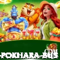 kathmandu pokhara bus Pro v4.0.7