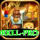 morne morkel Game Champion v1.3.1