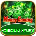 most runs in international cricket Slots Mega v3.2.6