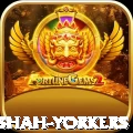 naseem shah yorkers VIP Edition v3.4.6
