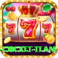 new zealand cricket team Games (Casino & Earning) Premium v4.6.1