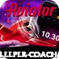 night bus sleeper coach Pro Max v1.4.6