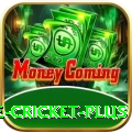 online cricket Jackpot Turbo v2.2.8