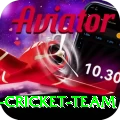 pakistan women cricket team Apps (Tools & Injectors) Pro v5.2.5