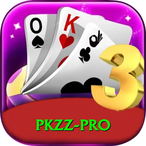 pkzz Turbo Pro v2.9.3 - 2