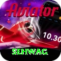 sehwag Max Pro v5.9.3