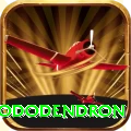 simbhanjyang rhododendron Games (Casino & Earning) Deluxe v2.1.2