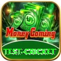 test cricket Plus Pro v1.5.5