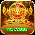 tiger888 Pro v1.8.8