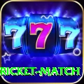 to day cricket match Premium Plus v2.8.1