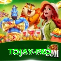 tojay Premium v2.4.0