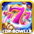 top batsman top bowler Gold Edition v2.8.1