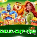 u19 world cup Slot Machine Plus