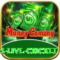 watch live cricket Max v5.2.0