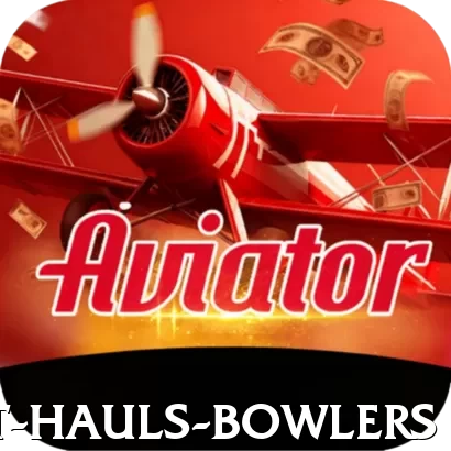 wicket hauls bowlers Pro Max v2.0.8 - 2