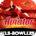 wicket hauls bowlers Pro Max v2.0.8