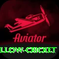 willow cricket Turbo v1.2.6