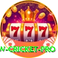 willow cricket Live Casino Pro